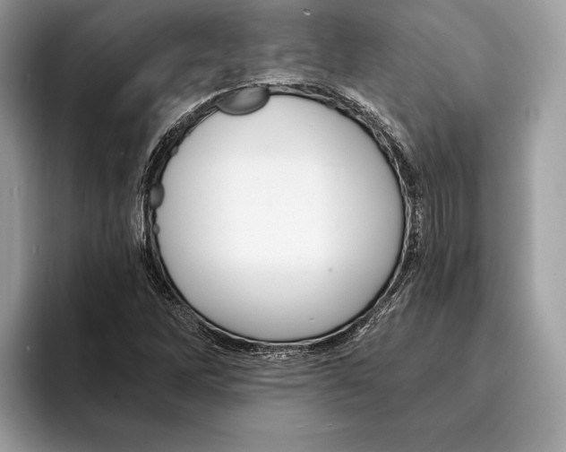 X0000095531262200801111406