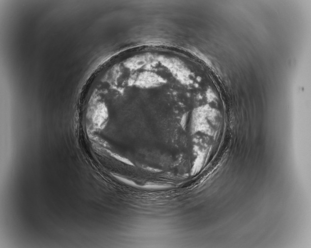 X0000095531263200801111406