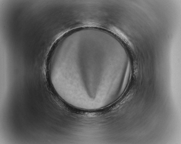 X0000095531264200801111406