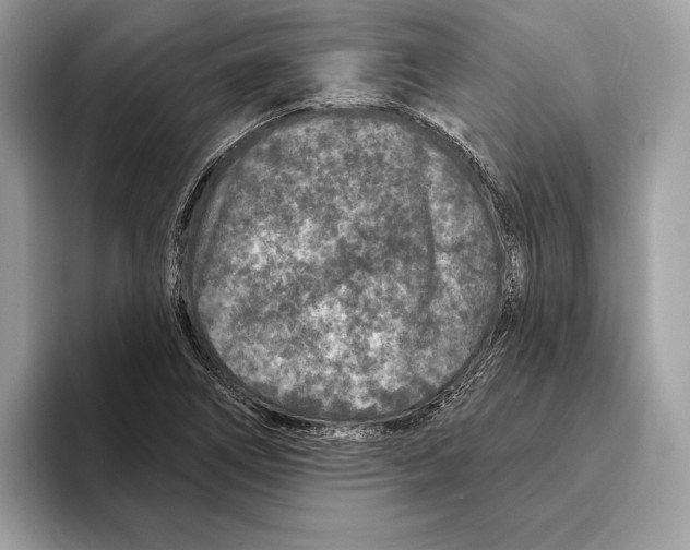 X0000095531266200801111406