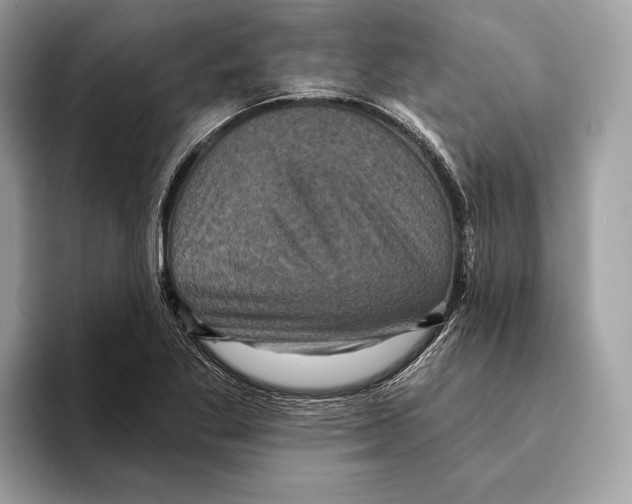 X0000095531269200801111406