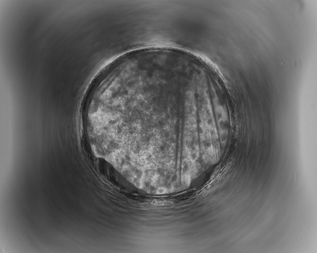 X0000095531271200801111406