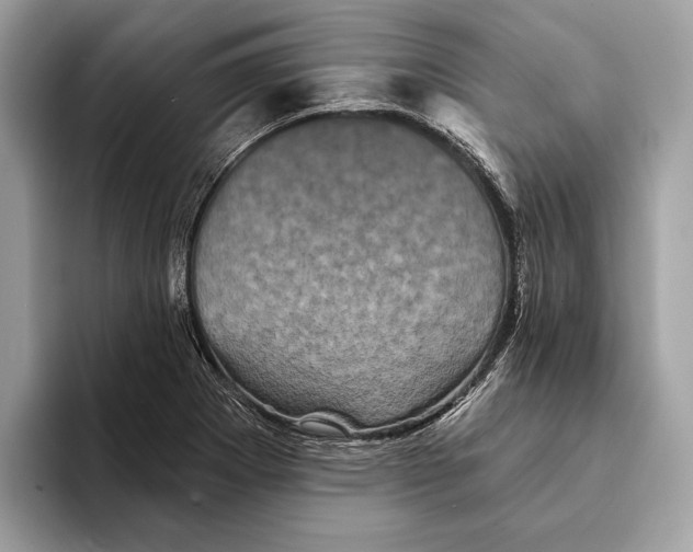 X0000095531273200801111406