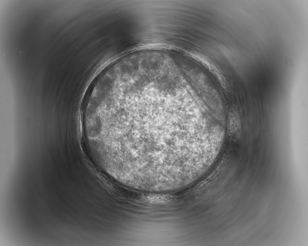 X0000095531274200801111406