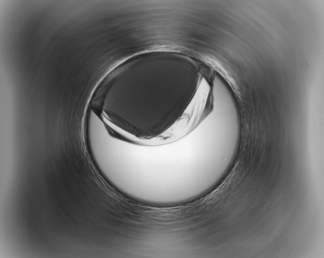 X0000095531276200801111406