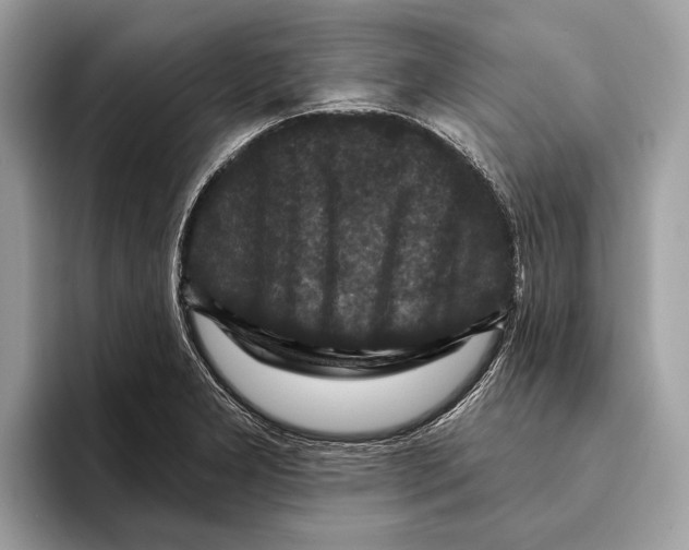 X0000095531277200801111406