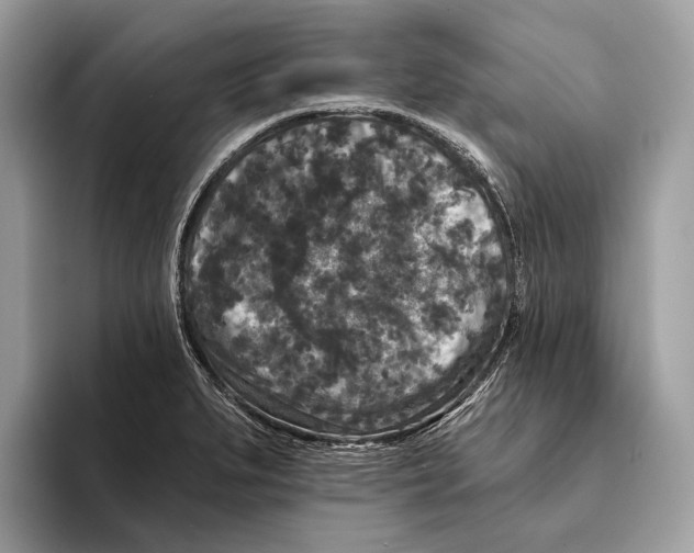 X0000095531279200801111406