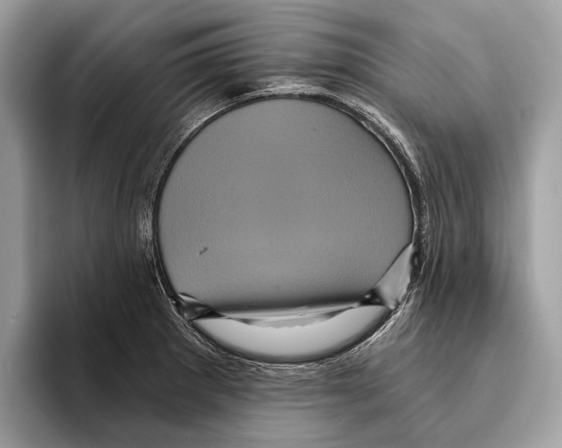 X0000095531281200801111406