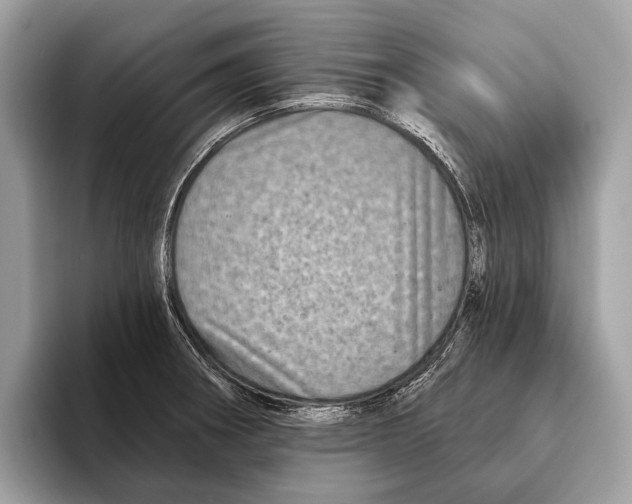 X0000095531282200801111406