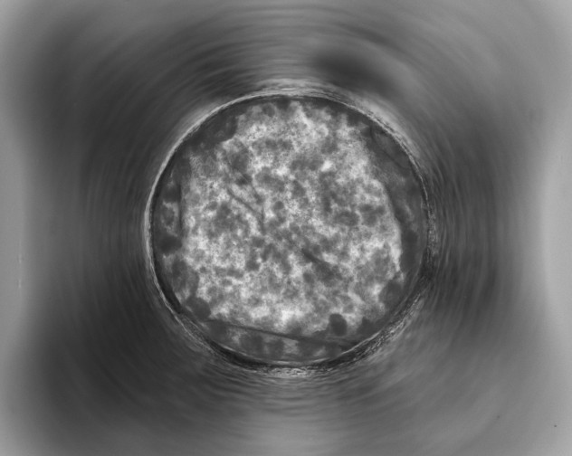 X0000095531283200801111406