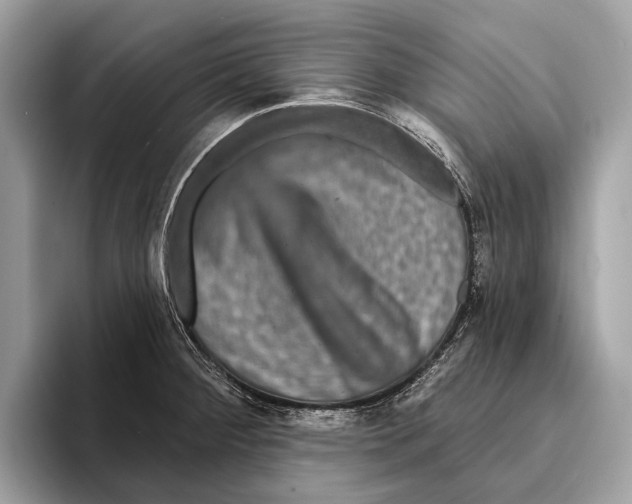 X0000095531284200801111406