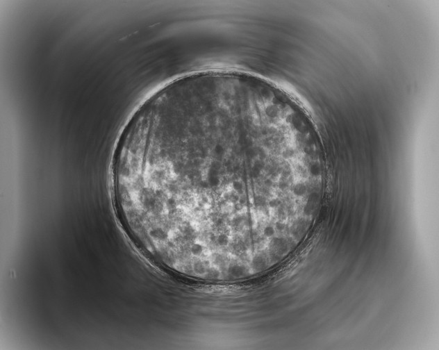 X0000095531287200801111406