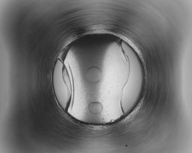 X0000095531289200801111406