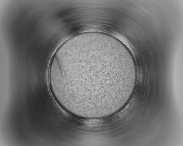 X0000095531290200801111405