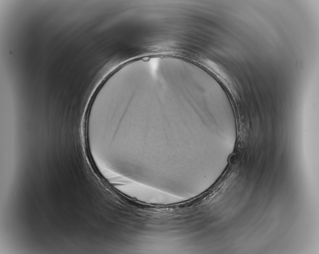 X0000095531291200801111405