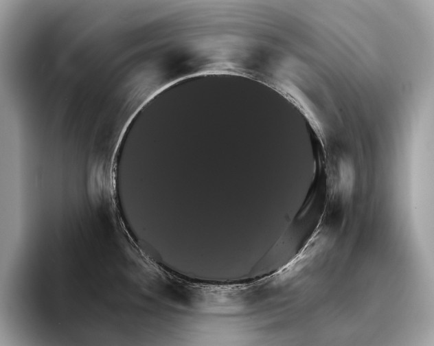 X0000095531292200801111405