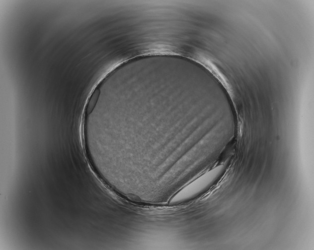 X0000095531293200801111405