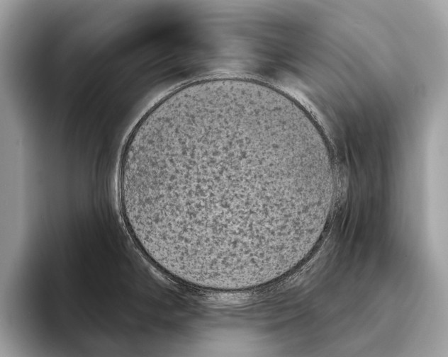 X0000095531294200801111405