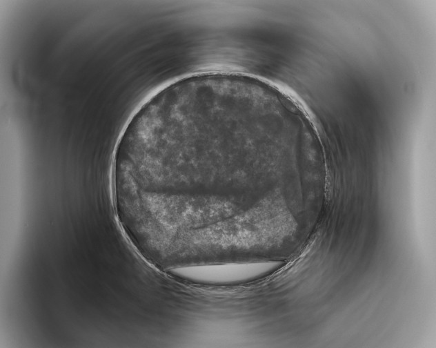 X0000095531295200801111405