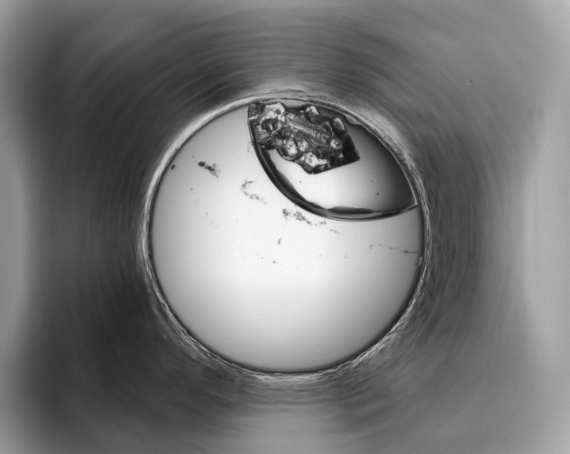 X0000095531296200801111405