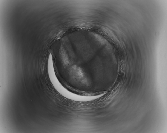 X0000095531298200801111405