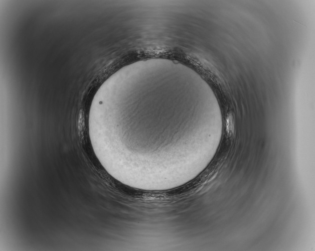 X0000095531299200801111405