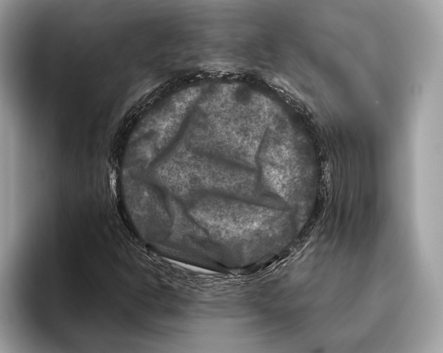 X0000095531302200801111405