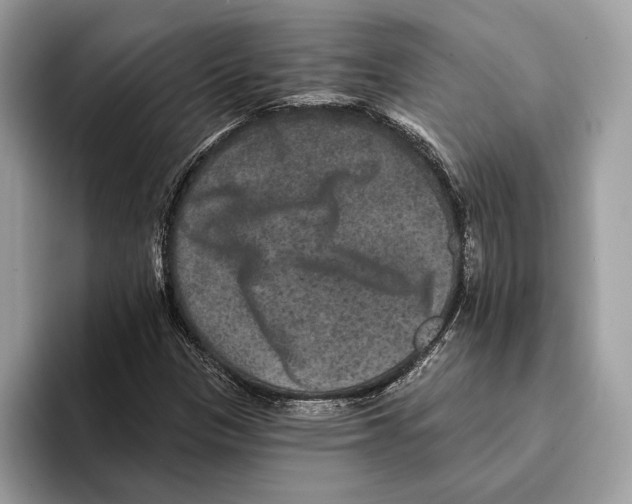 X0000095531305200801111405