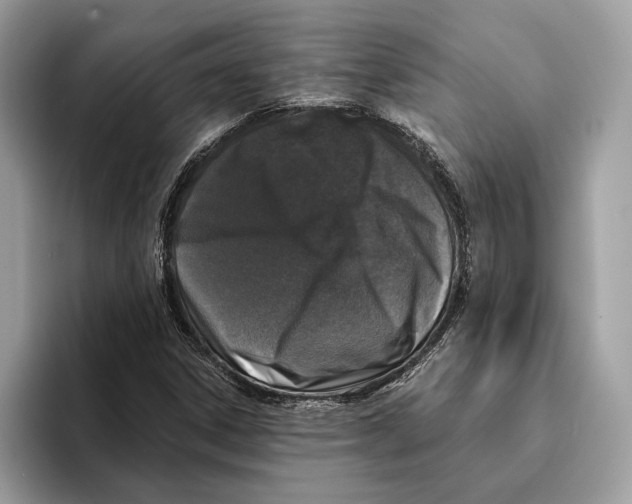 X0000095531306200801111405