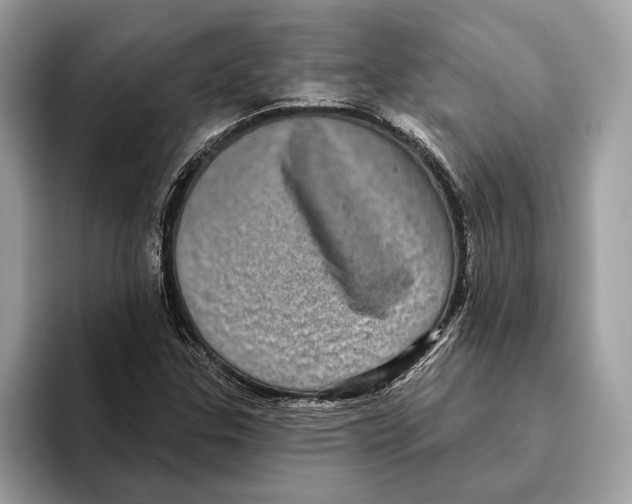 X0000095531307200801111405