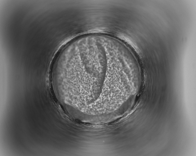 X0000095531308200801111405