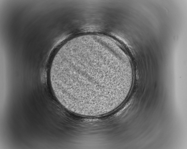 X0000095531309200801111405