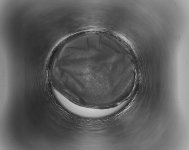 X0000095531310200801111405