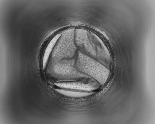 X0000095531311200801111405