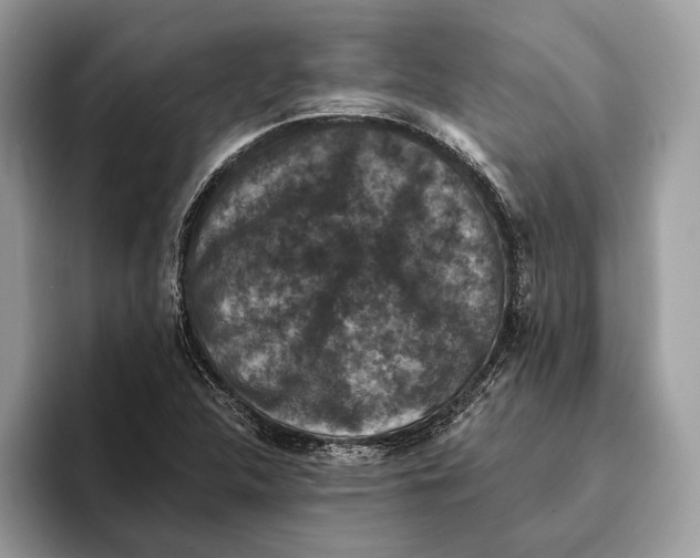 X0000095531312200801111405