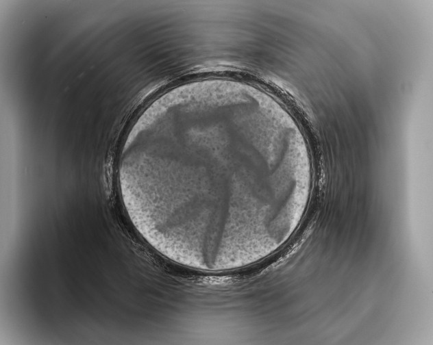 X0000095531313200801111405