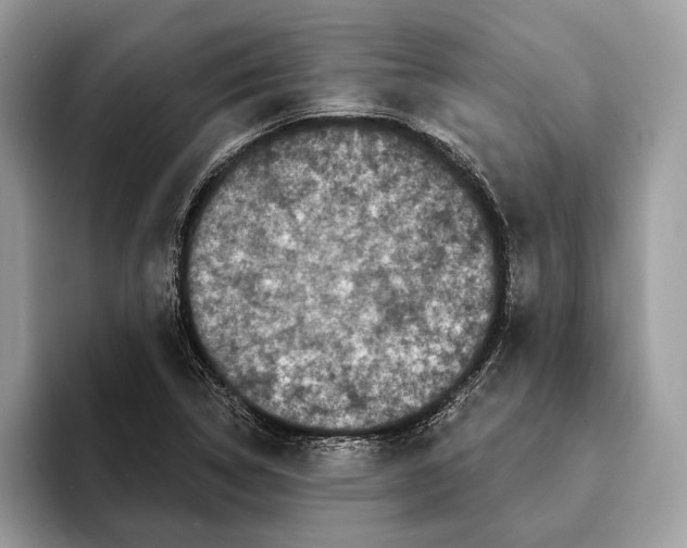 X0000095531314200801111405