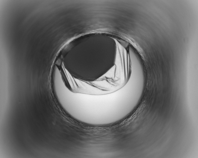 X0000095531316200801111405