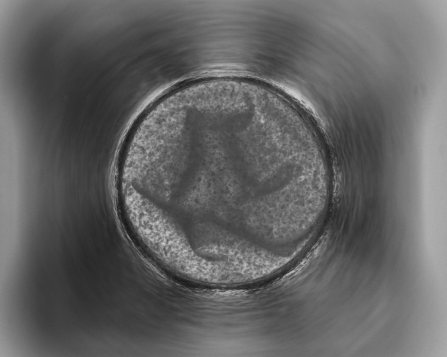 X0000095531325200801111405