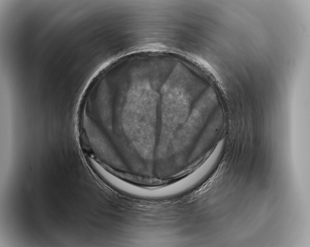 X0000095531326200801111405