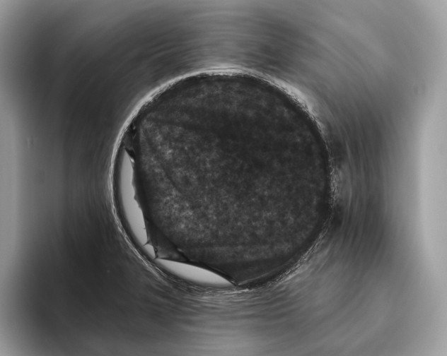 X0000095531327200801111405