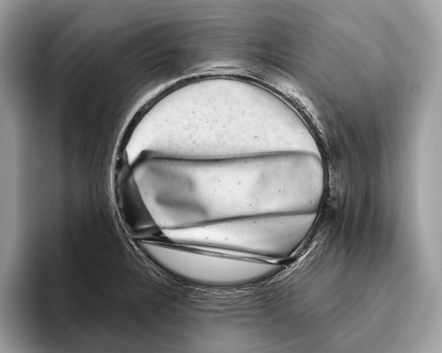 X0000095531328200801111405