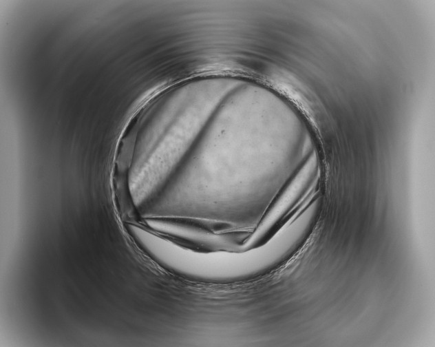 X0000095531330200801111405