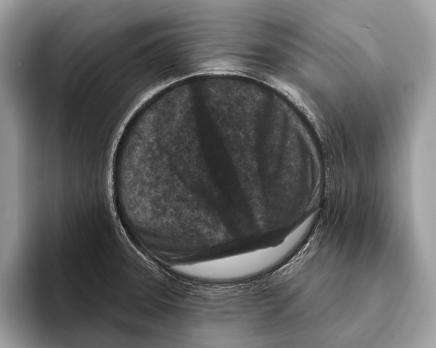 X0000095531331200801111405