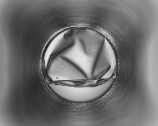 X0000095531332200801111405