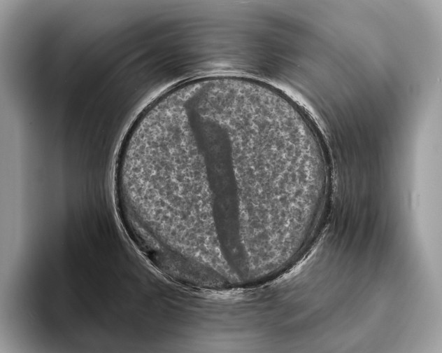 X0000095531333200801111405