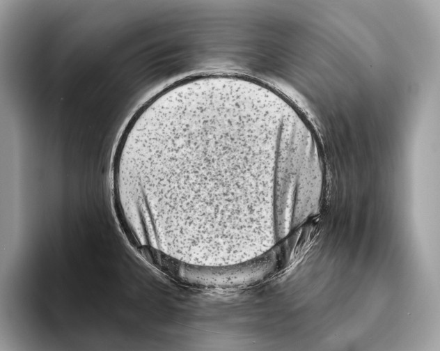 X0000095531335200801111405