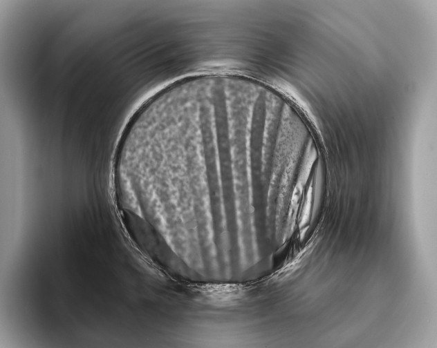 X0000095531336200801111405