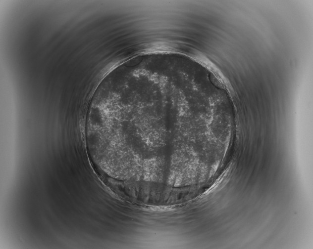 X0000095531337200801111405