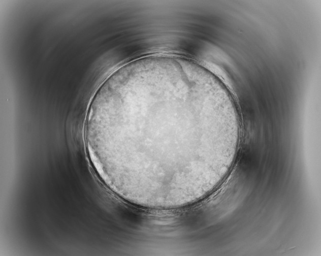 X0000095531338200801111405